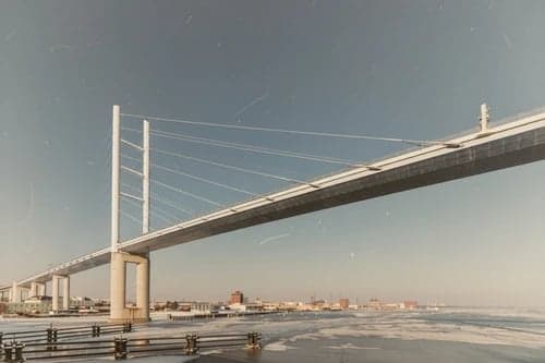 Retro filter after transformation - portrait showing analog matte aesthetic