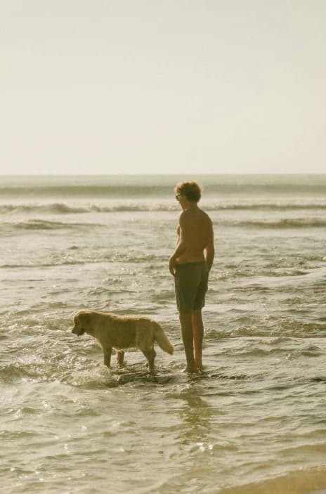 create an AI-generated Instagram image by restructuring visual hierarchy, adjusting camera distance to medium or wide framing, isolating the main subject from the background using depth and lighting contrast, correcting exposure inconsistencies, reducing visual clutter, applying cohesive modern tones, enhancing sharpness, and producing a feed-ready image optimized for scrolling attention rather than casual documentation