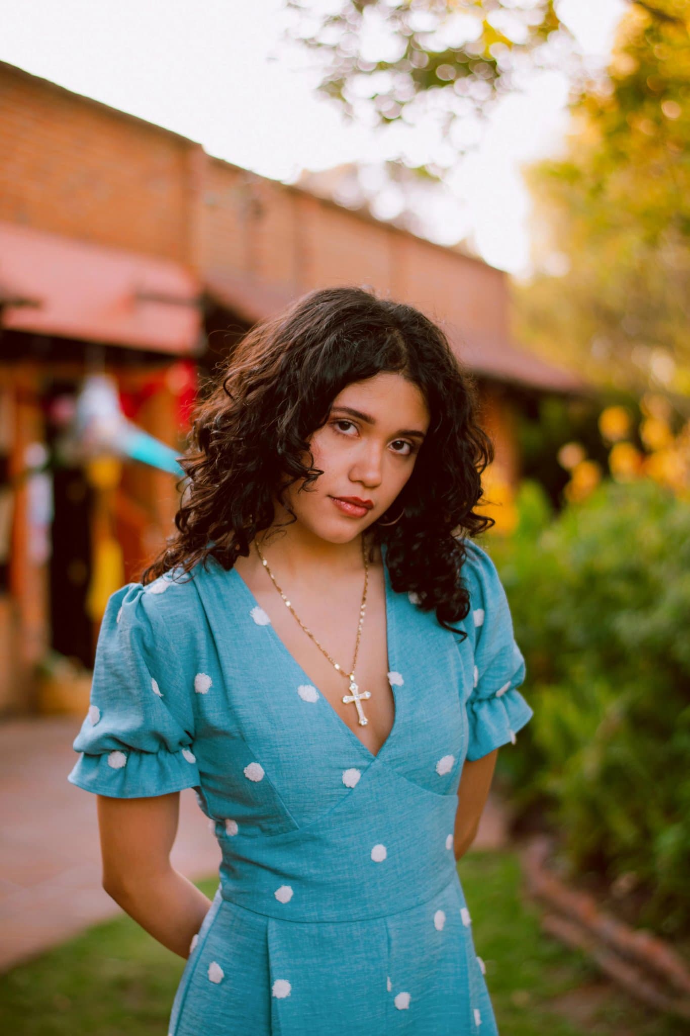 Red Carpet Dresses filter before photo - natural portrait in everyday outfit with any background