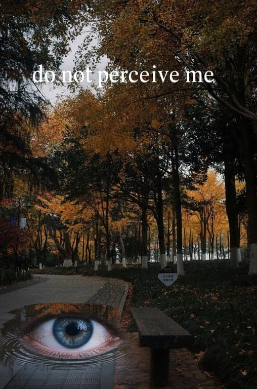 A seemingly normal landscape photo of a park bench, but with a giant, photorealistic eye subtly reflected in a puddle, text reads \"do not perceive me\".